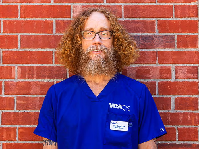 staff profile