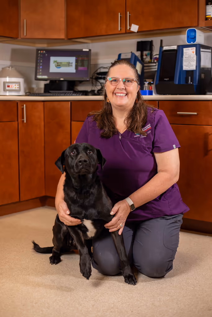 staff profile