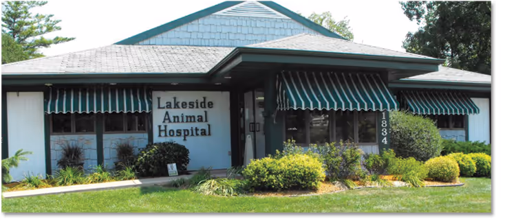 Lakeside Animal Hospital - Pet services facility