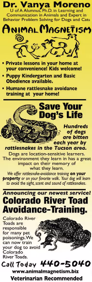 Animal Magnetism, Inc - Pet services facility