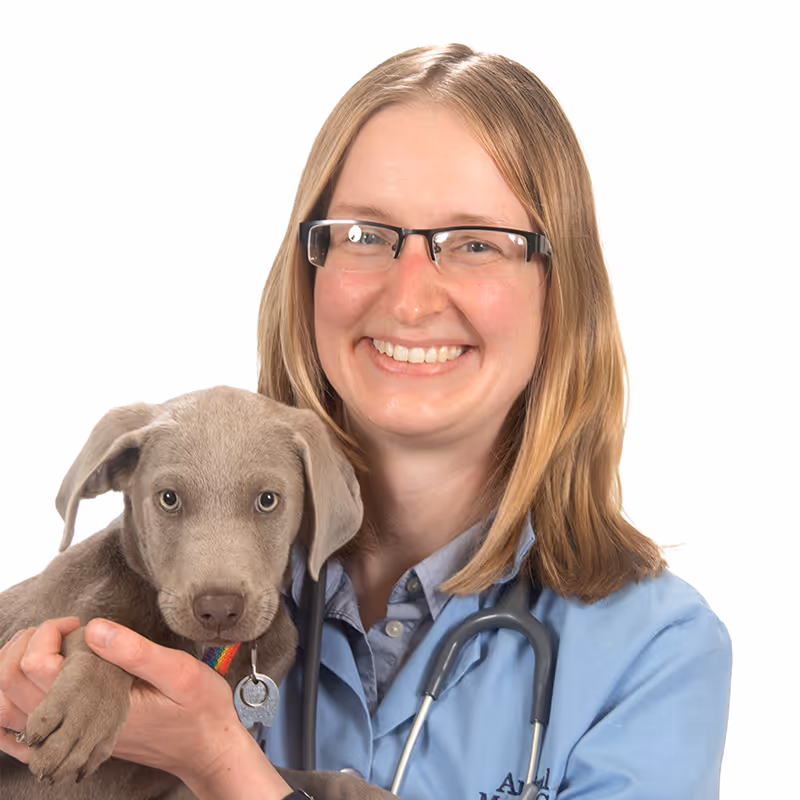 staff profile