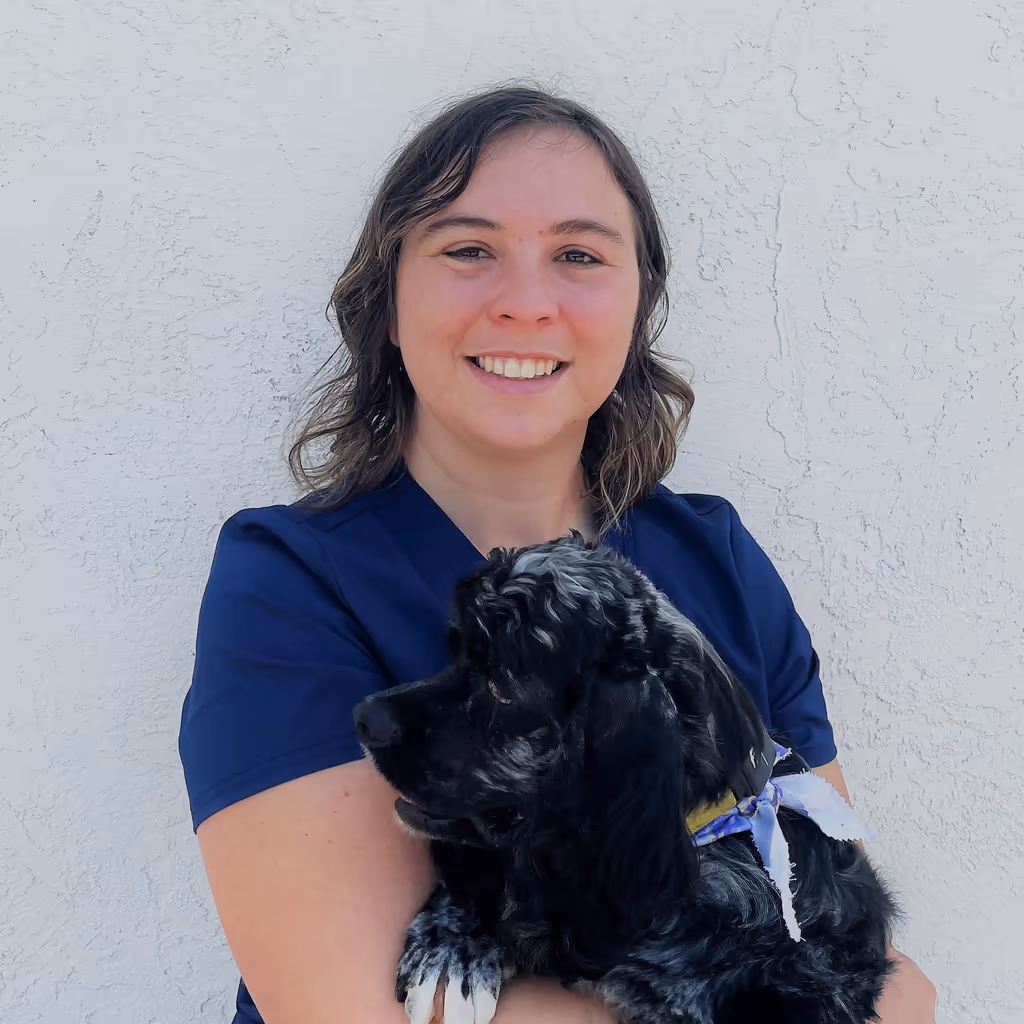 staff profile