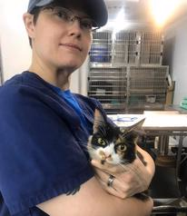 staff profile