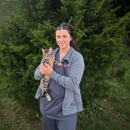 staff profile