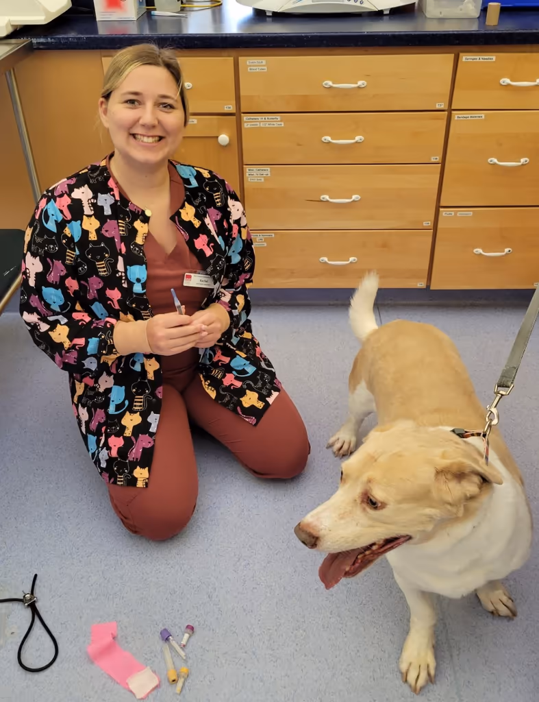 staff profile