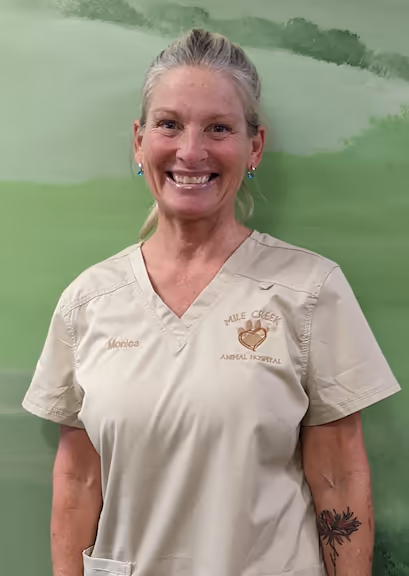 staff profile