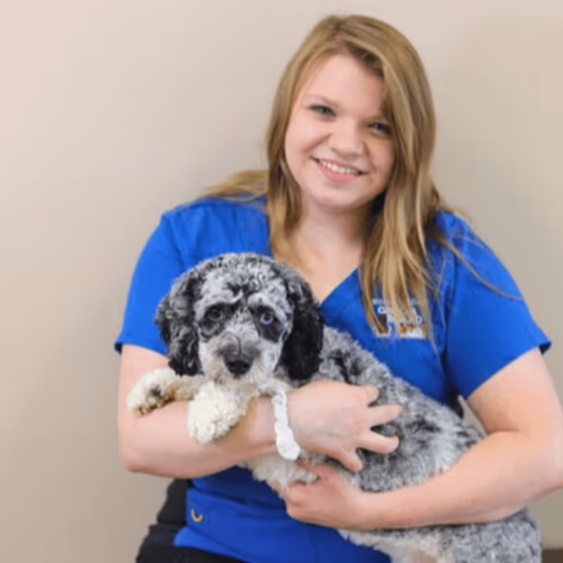staff profile