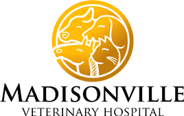 facility profile image