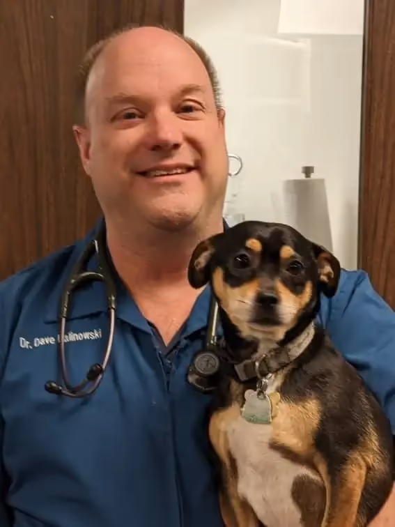 staff profile