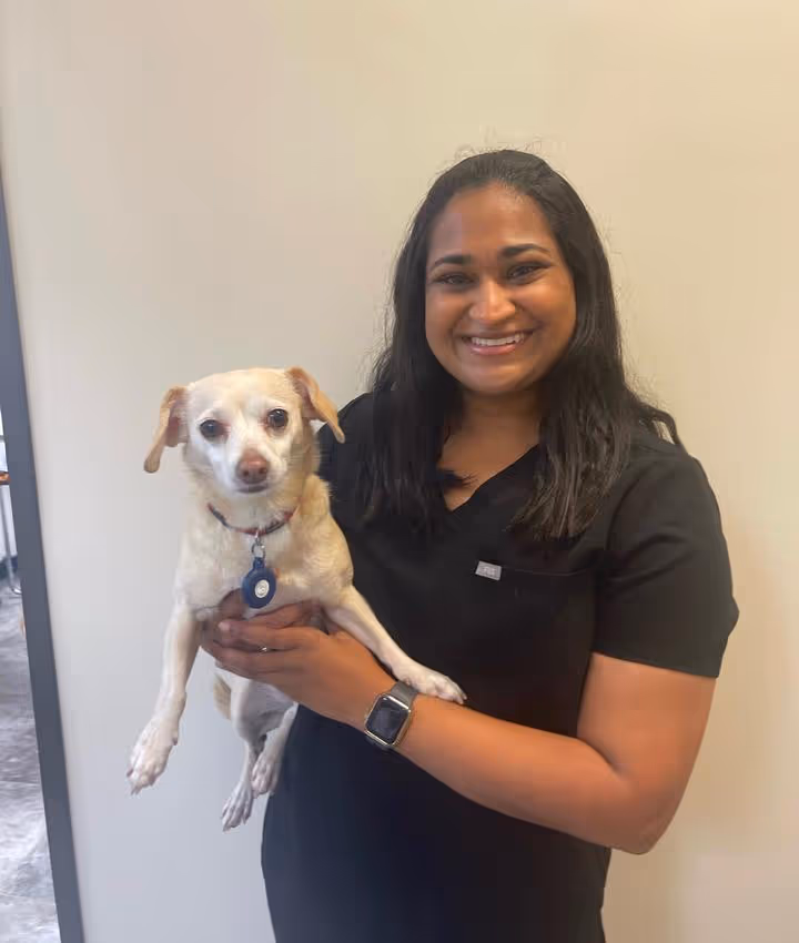staff profile