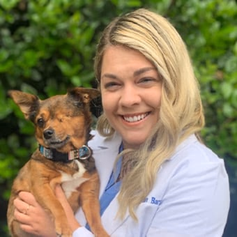 staff profile