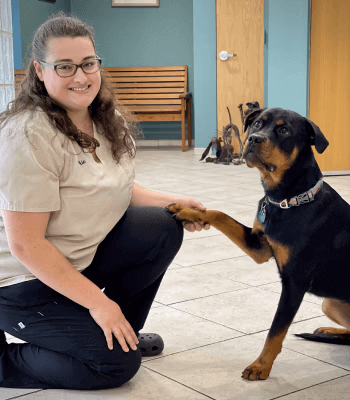 staff profile