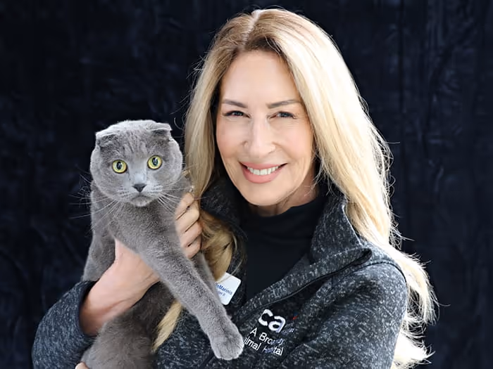 staff profile
