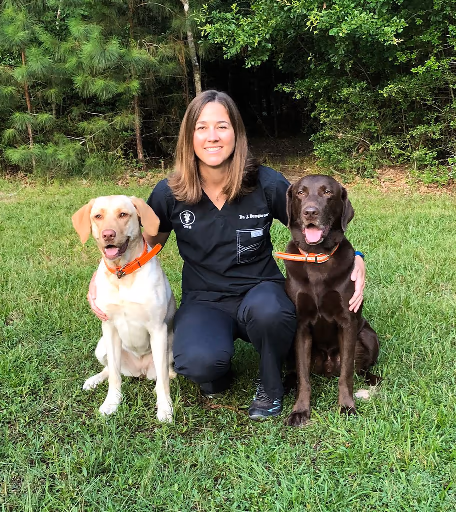 staff profile