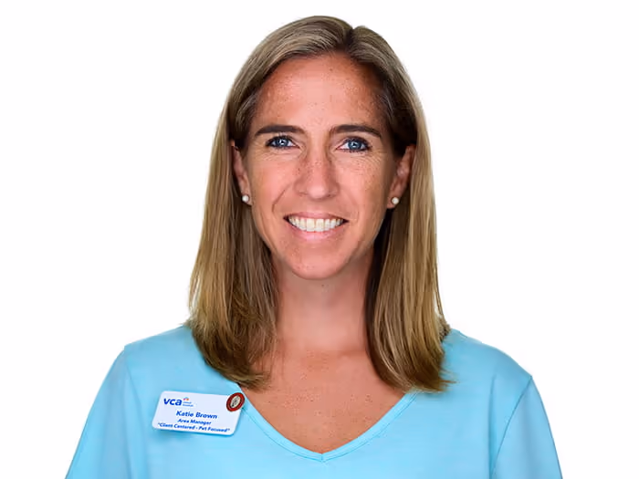 staff profile