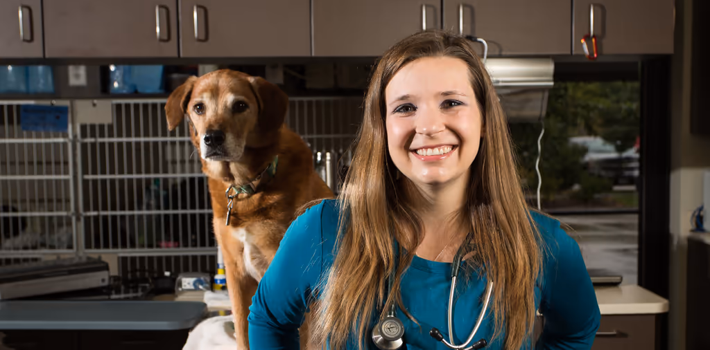 staff profile