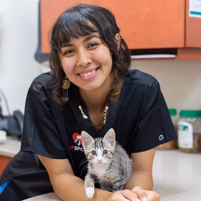 staff profile