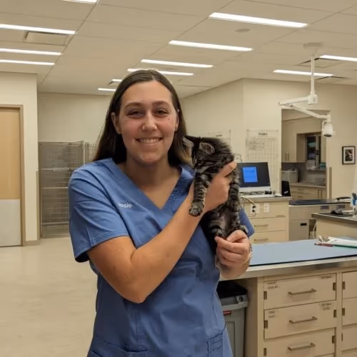 staff profile