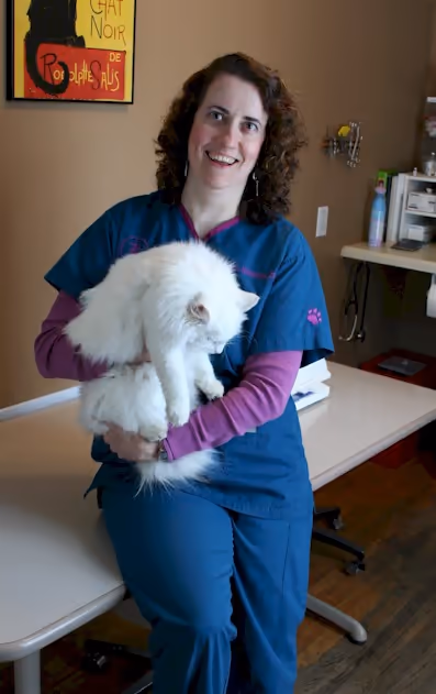 staff profile
