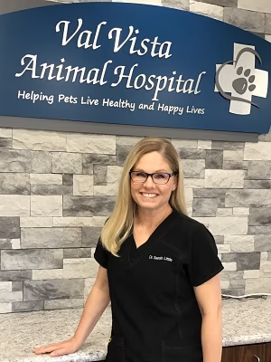 staff profile