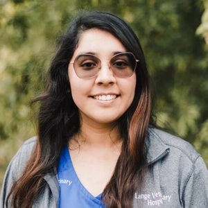staff profile