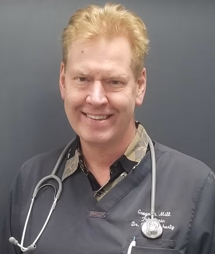 staff profile