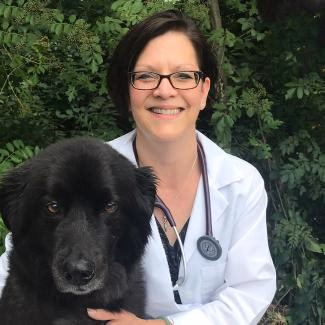 staff profile