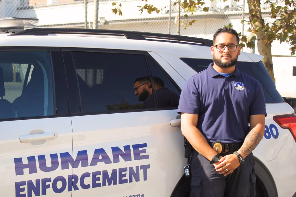staff profile