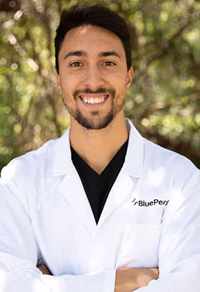 staff profile