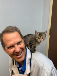 staff profile