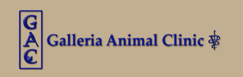 Galleria Animal Clinic - Pet services facility