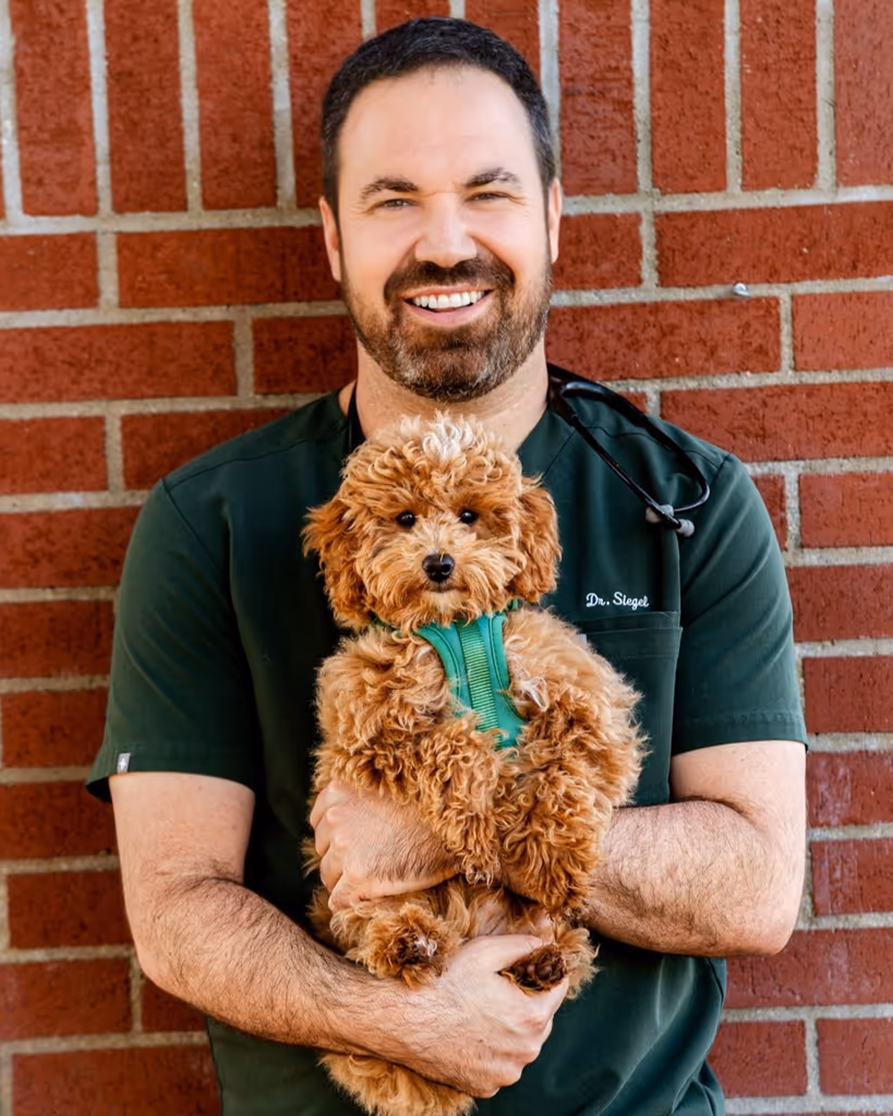 staff profile