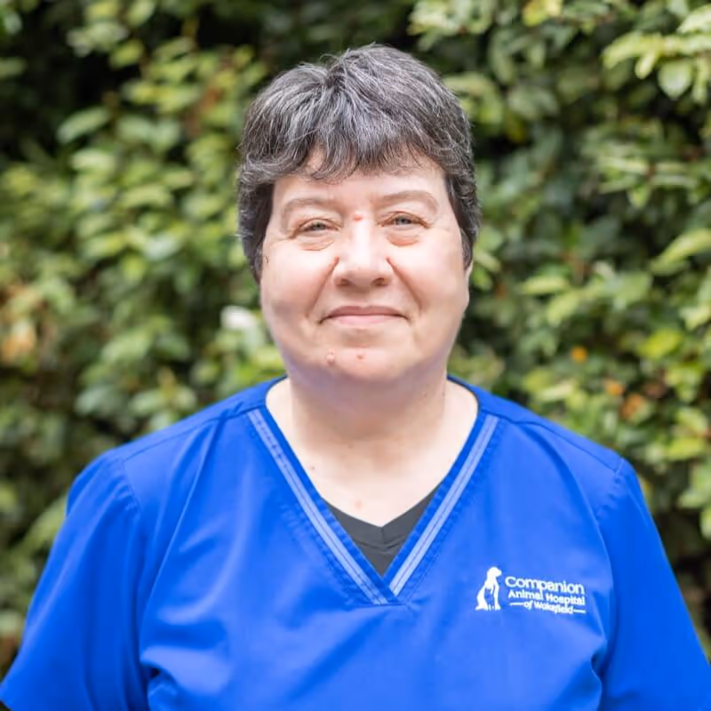 staff profile