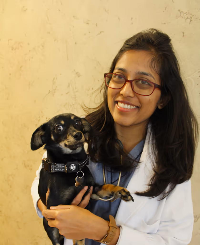 staff profile