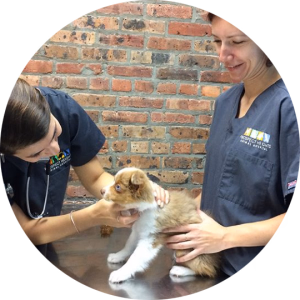 staff profile