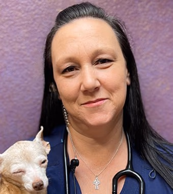 staff profile