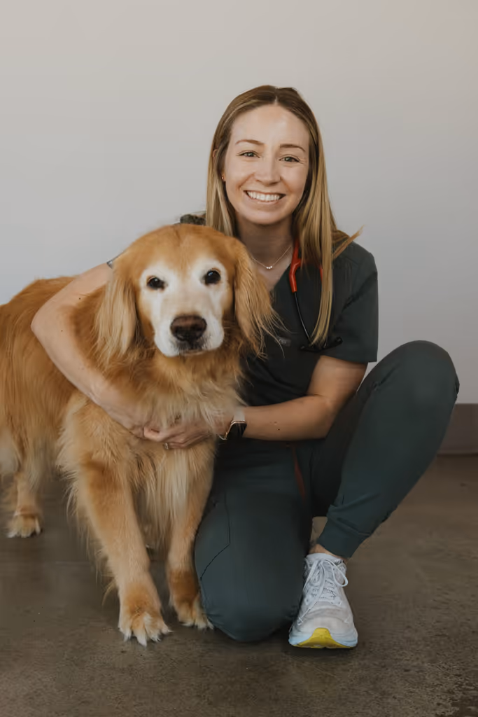 staff profile