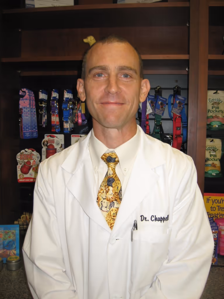 staff profile