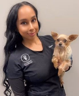 staff profile