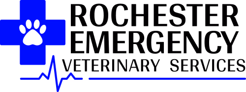 Rochester Veterinary Clinic - Pet services facility