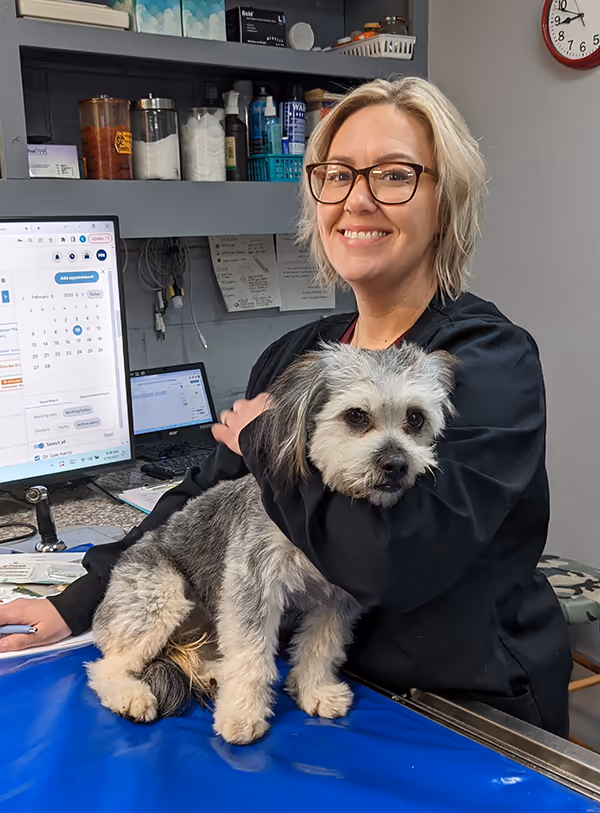 staff profile