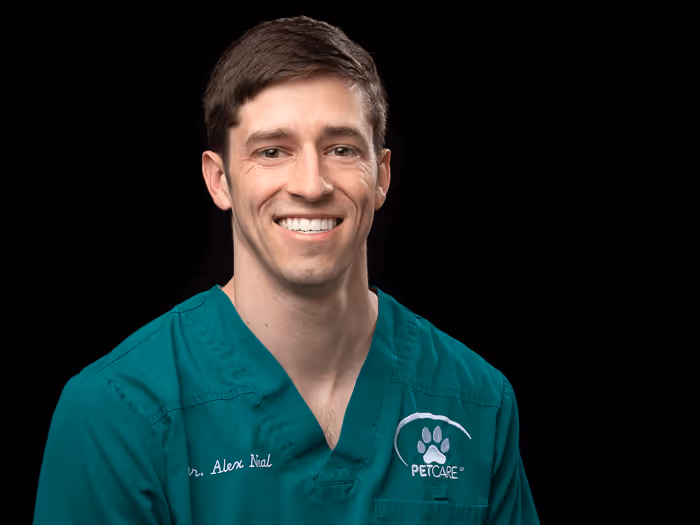 staff profile