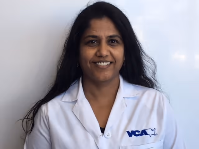 staff profile