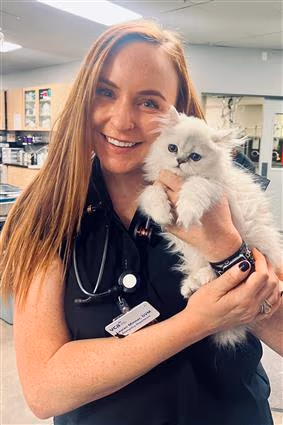 staff profile