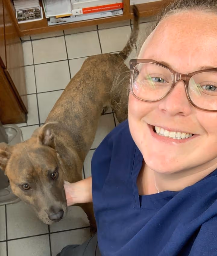 staff profile