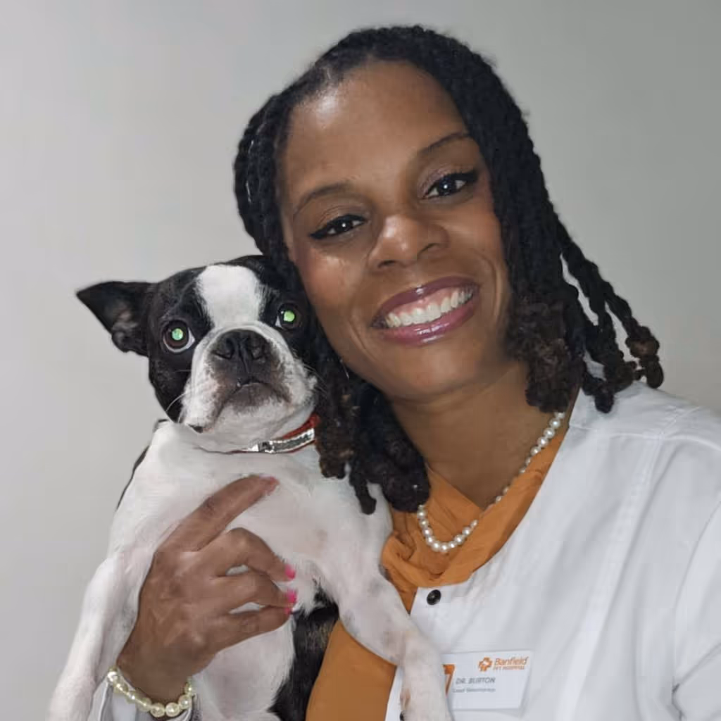 staff profile