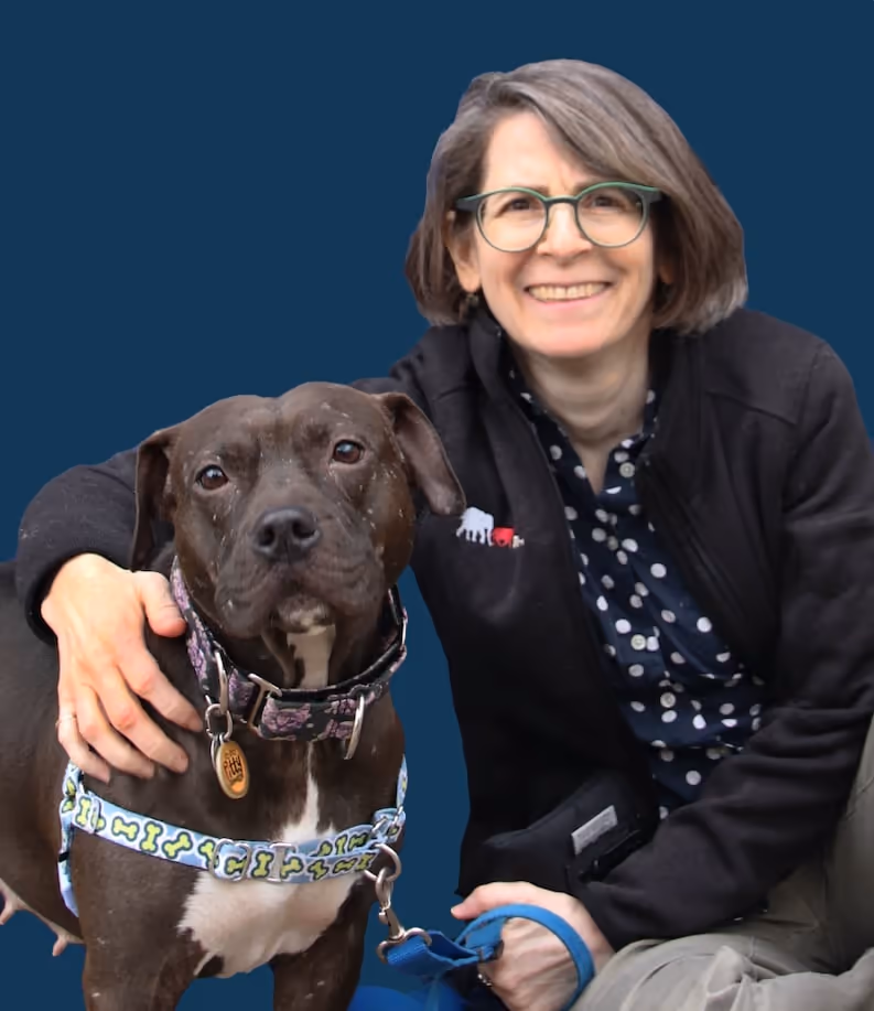 staff profile