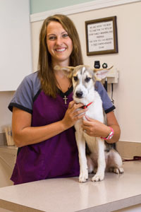 staff profile