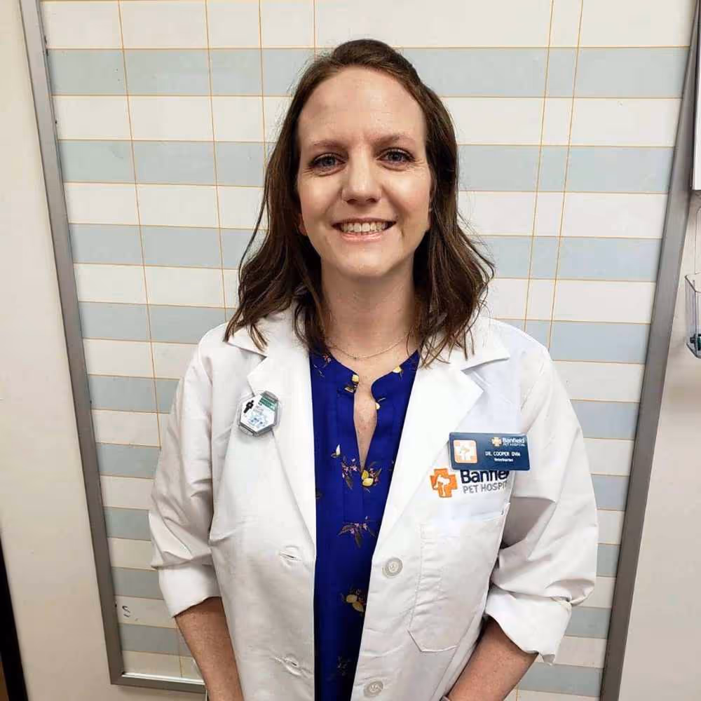 staff profile