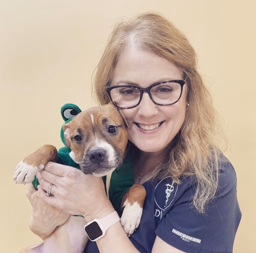staff profile
